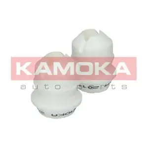 KAMOKA 2019029