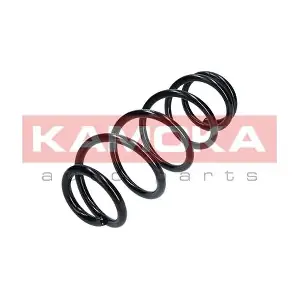 2120163 KAMOKA