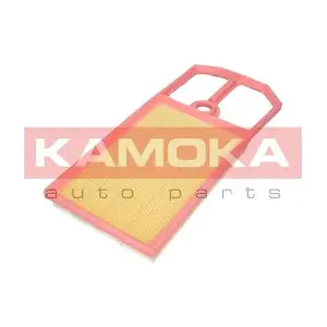 F233601 KAMOKA