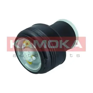 2079023 KAMOKA