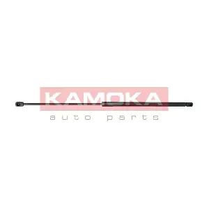 7091097 KAMOKA