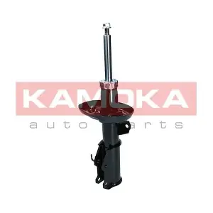 2000561 KAMOKA
