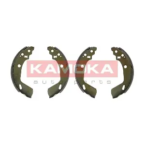 JQ202092 KAMOKA