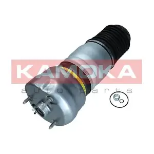 2079064 KAMOKA