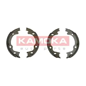 JQ212036 KAMOKA