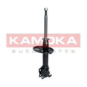 2000163 KAMOKA