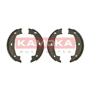 JQ212043 KAMOKA