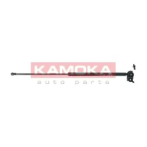 7091069 KAMOKA
