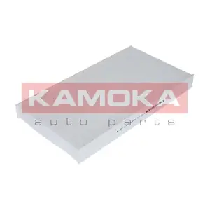 KAMOKA F404701