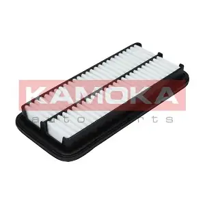 F233301 KAMOKA