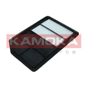 F260101 KAMOKA