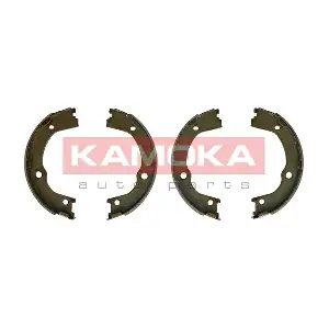 JQ212065 KAMOKA