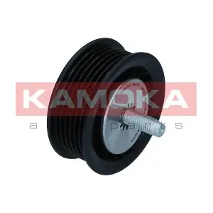 R0423 KAMOKA