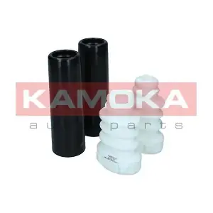 2019172 KAMOKA