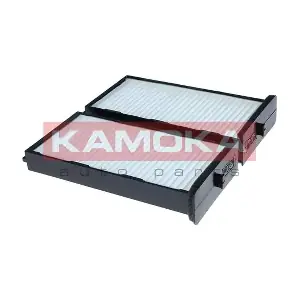 F430101 KAMOKA