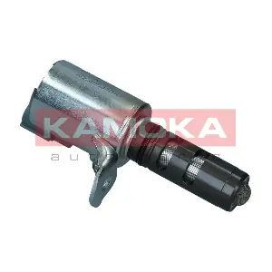 RA029 KAMOKA