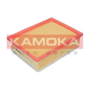 F221101 KAMOKA