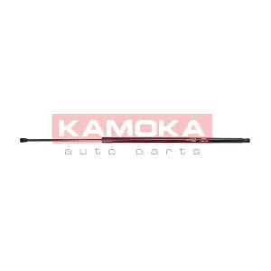 7092488 KAMOKA