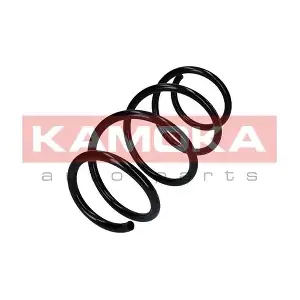 2110337 KAMOKA