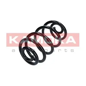 2120250 KAMOKA