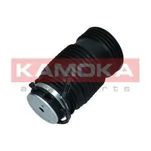 2079051 KAMOKA