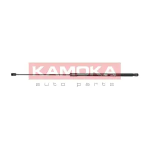 7091143 KAMOKA