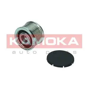 KAMOKA RC151