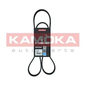 7016094 KAMOKA