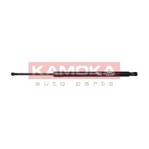 7092565 KAMOKA