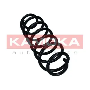 2120617 KAMOKA