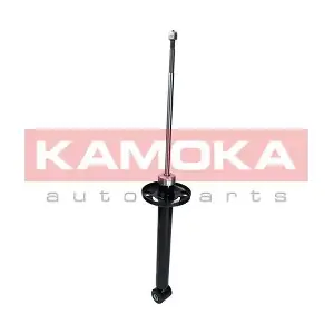 2000979 KAMOKA