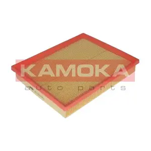 F220501 KAMOKA