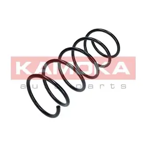 2110213 KAMOKA