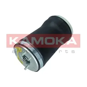 2079022 KAMOKA