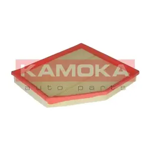 F219401 KAMOKA