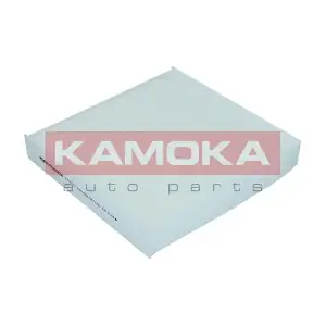 KAMOKA F418701