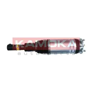 2070009 KAMOKA