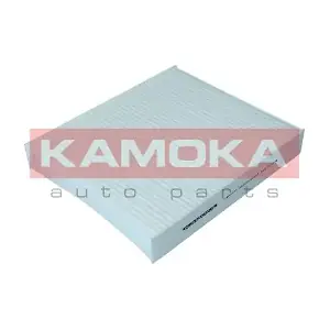 KAMOKA F403101