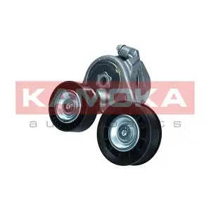 R0609 KAMOKA