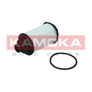 F122501 KAMOKA