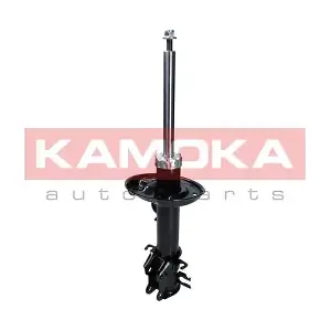 2000528 KAMOKA