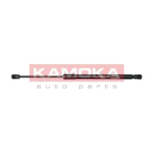 7091038 KAMOKA