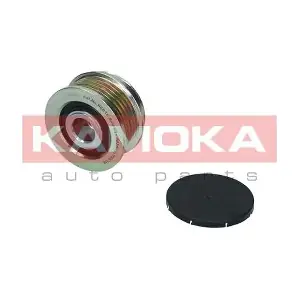 KAMOKA RC016
