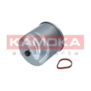 KAMOKA F305001