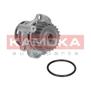 KAMOKA T0033