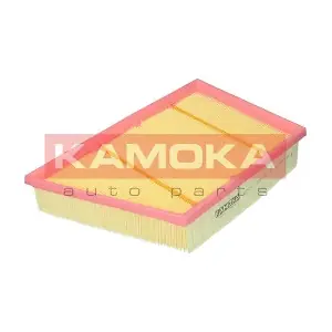KAMOKA F247901