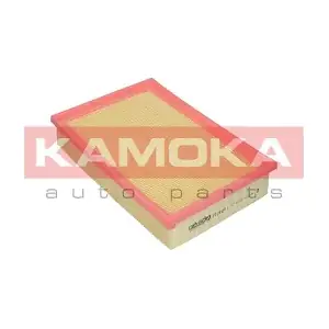 KAMOKA F228001
