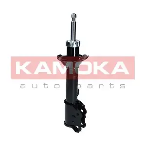 2001041 KAMOKA