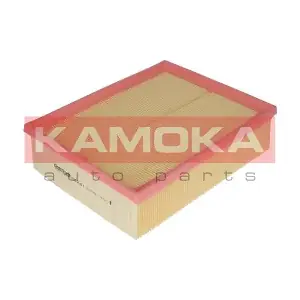 KAMOKA F203101