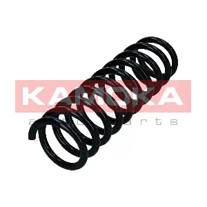 2120469 KAMOKA